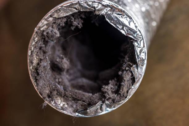 Best HVAC Duct Inspection Services  in Odon, IN